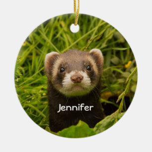 Cute Brown Ferret i Grass Photo Julgransprydnad Keramik