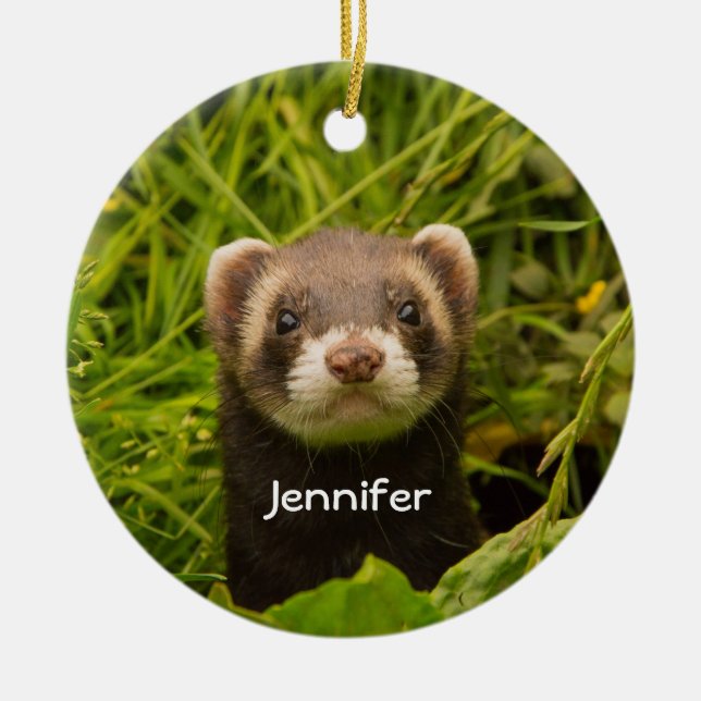 Cute Brown Ferret i Grass Photo Julgransprydnad Keramik (Framsidan)