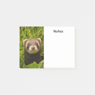 Cute Brown Ferret i Grass Post-it Block