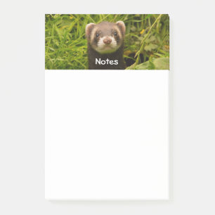 Cute Brown Ferret i Grass Post-it Block