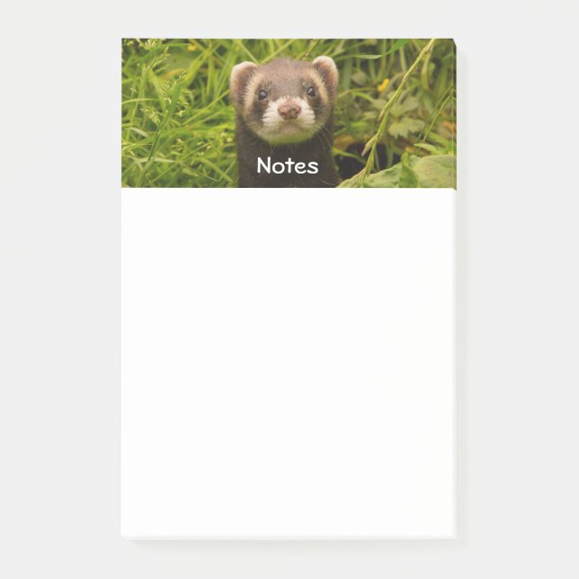 Cute Brown Ferret i Grass Post-it Block (Framsida)