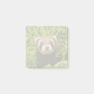 Cute Brown Ferret i Grass Post-it Block