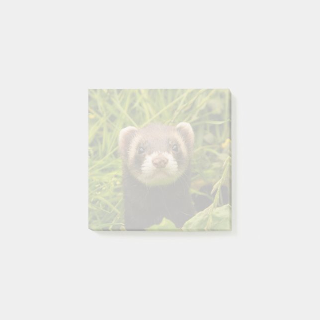 Cute Brown Ferret i Grass Post-it Block (Framsida)