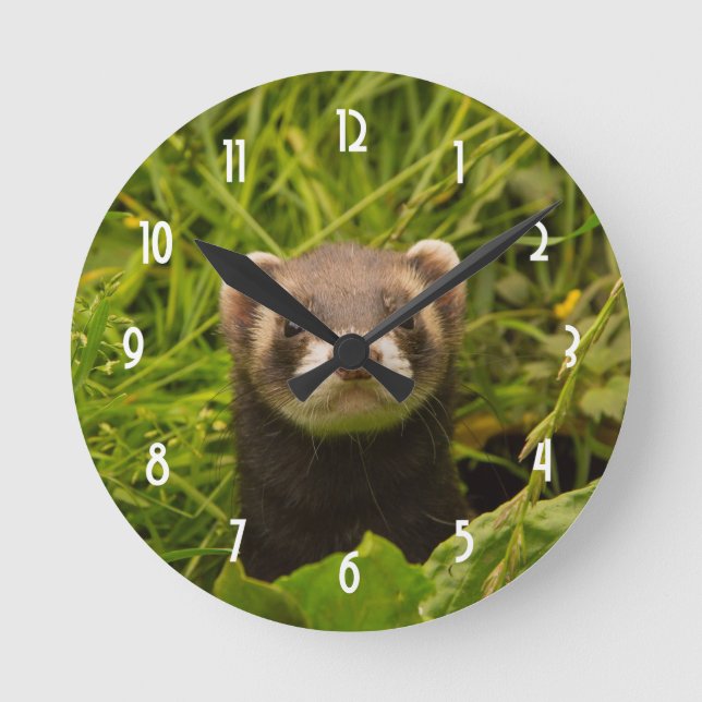 Cute Brown Ferret i Grass Rund Klocka (Framsida)