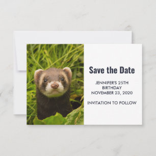 Cute Brown Ferret i Grass Spara Datumet
