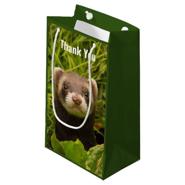 Cute Brown Ferret i Grass Tack (Framsidan Vinklad)