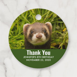 Cute Brown Ferret i Grass Tack Gåvor Etiketter