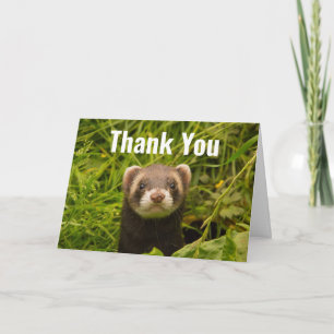 Cute Brown Ferret i Grass Tack Kort
