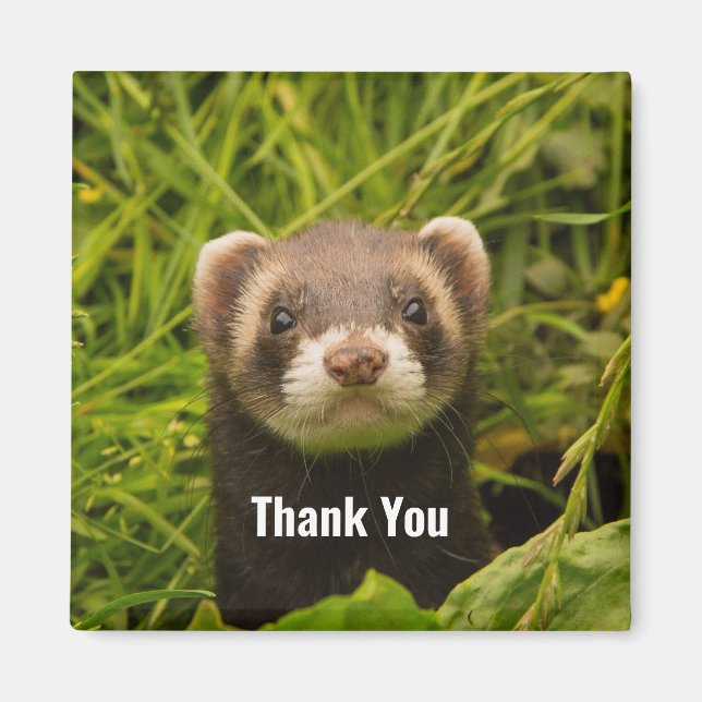 Cute Brown Ferret i Grass Tack Magnet (Framsidan)