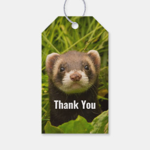 Cute Brown Ferret i Grass Tack Presentetikett