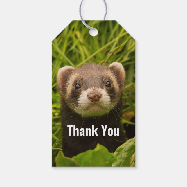 Cute Brown Ferret i Grass Tack Presentetikett (Framsidan)