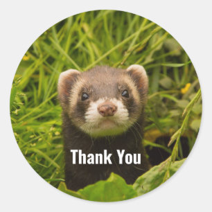 Cute Brown Ferret i Grass Tack Runt Klistermärke