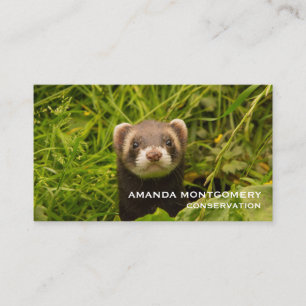 Cute Brown Ferret i Grass Visitkort