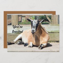 Cute Brown Goat Sleeping Photo Birthday Inbjudningar