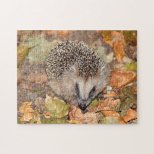 Cute Brown Hedgehog på Löv Jigszle Puzzle Pussel