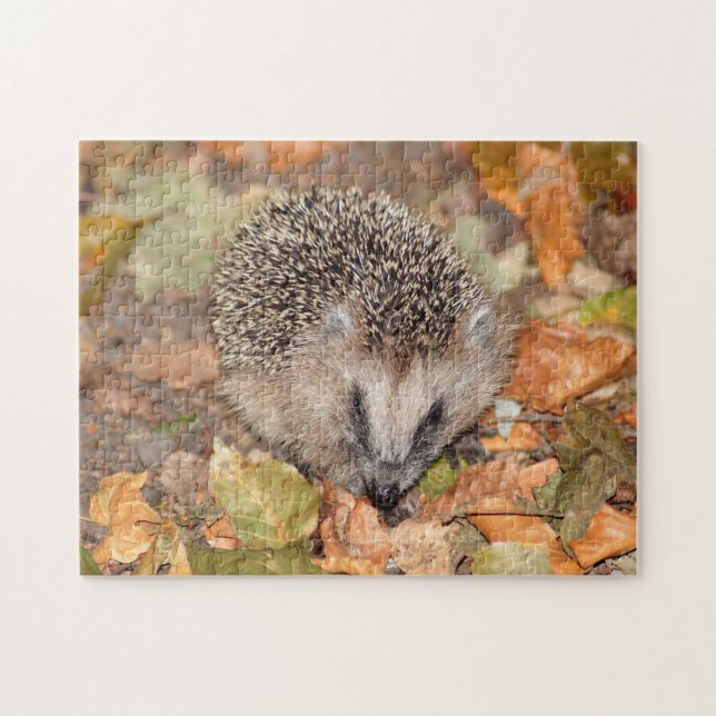 Cute Brown Hedgehog på Löv Jigszle Puzzle Pussel (Horisontell)