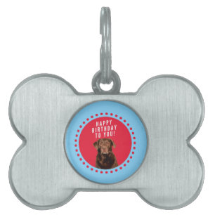 Cute Brown Labrador Retriever Hund Grattis på föde Namnbricka Husdjur