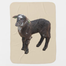 Cute Brown Lamb Baby Blanket