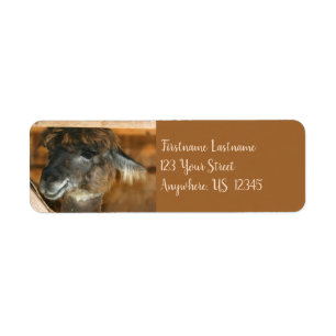 Cute Brown Llama Farm Animal Adress Returadress Etikett