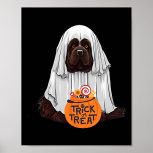 Cute Brown Newfoundland Hund Halloween Poster