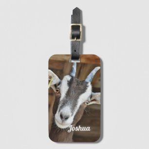 Cute Brown och White Goat Photo Bagagebricka