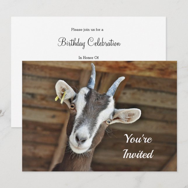 Cute Brown och White Goat Photo Birthday Inbjudningar (Fram/baksida)