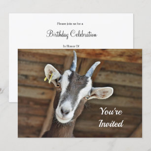 Cute Brown och White Goat Photo Birthday Inbjudningar