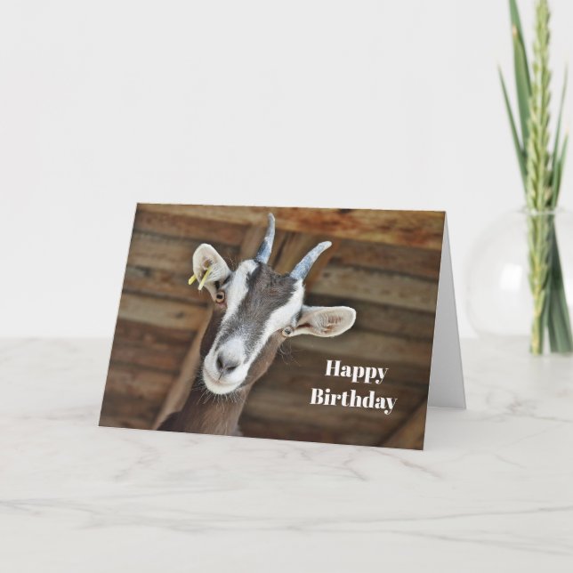Cute Brown och White Goat Photo Birthday Kort (Framsida)