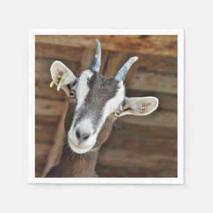 Cute Brown och White Goat Photo Pappersservett