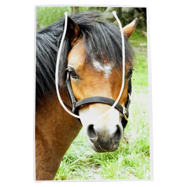 CUTE BROWN PONY (Framsidan)