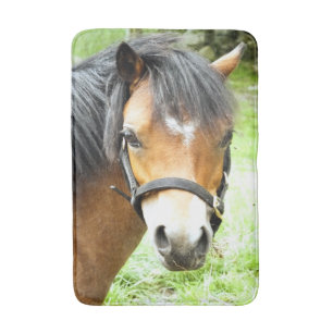 CUTE BROWN PONY BADRUMSMATTA