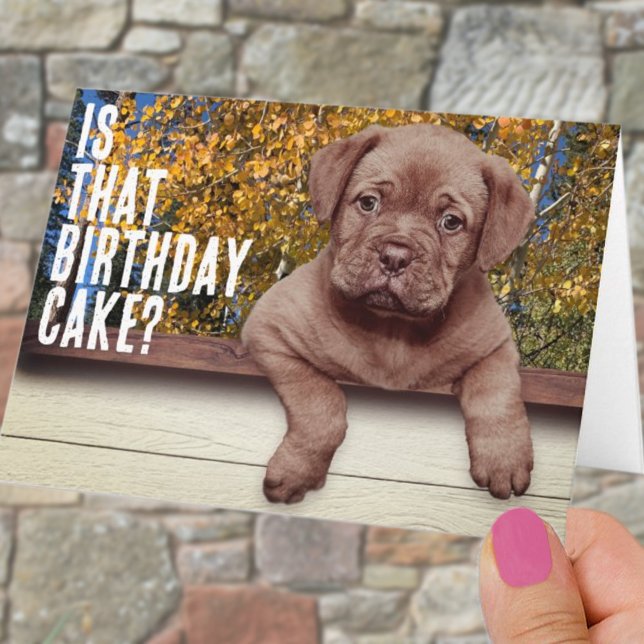 Cute Brown Puppy Photo Template Birthday Kort (Skapare uppladdad)