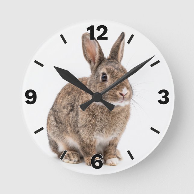 Cute Brown Rabbit Bunny Farm Nursery Decor Rund Klocka (Framsida)