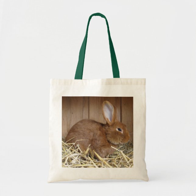 Cute Brown Rabbit i Fresh Hay Tygkasse (Framsidan)