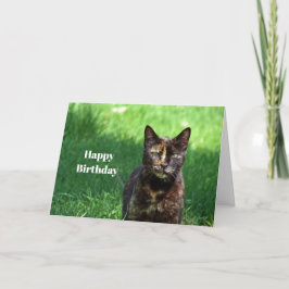 Cute Brown Tortoiseshell Cat Photo Birthday Kort