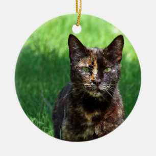 Cute Brown Tortoiseshell Cat Photo Julgransprydnad Keramik