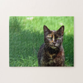 Cute Brown Tortoiseshell Cat Photo Pussel
