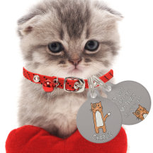 Cute Brown White Cat Tecknad Funny Kawaii