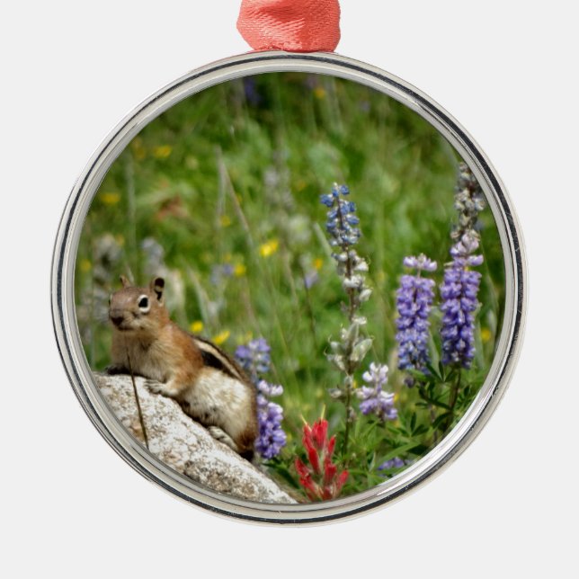 Cute Brown White Chipmunk Julgransprydnad Metall (Framsidan)
