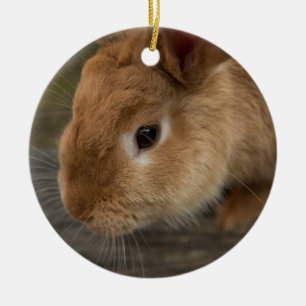 Cute brun bunt julgransprydnad keramik
