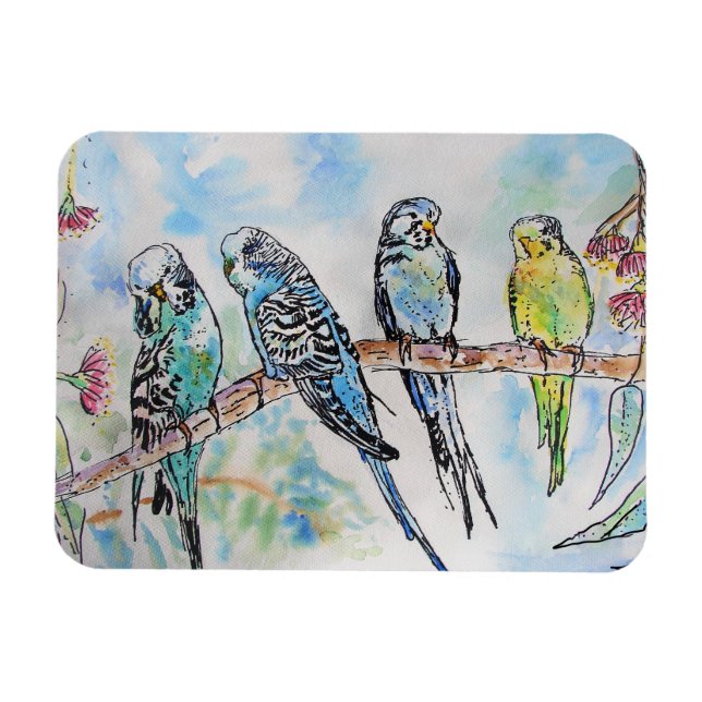 Cute Budgie budgies bird Watercolor Art Magnet (Horisontell)