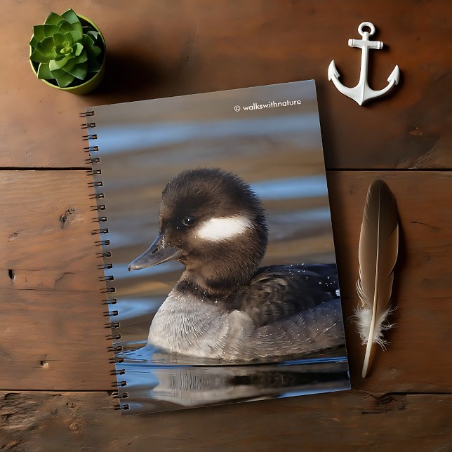 Cute Bufflehead Anka på Sunlit Vatten Anteckningsbok Med Spiral (Cute Bufflehead Duck on Sunlit Waters Journal Cover Photo)