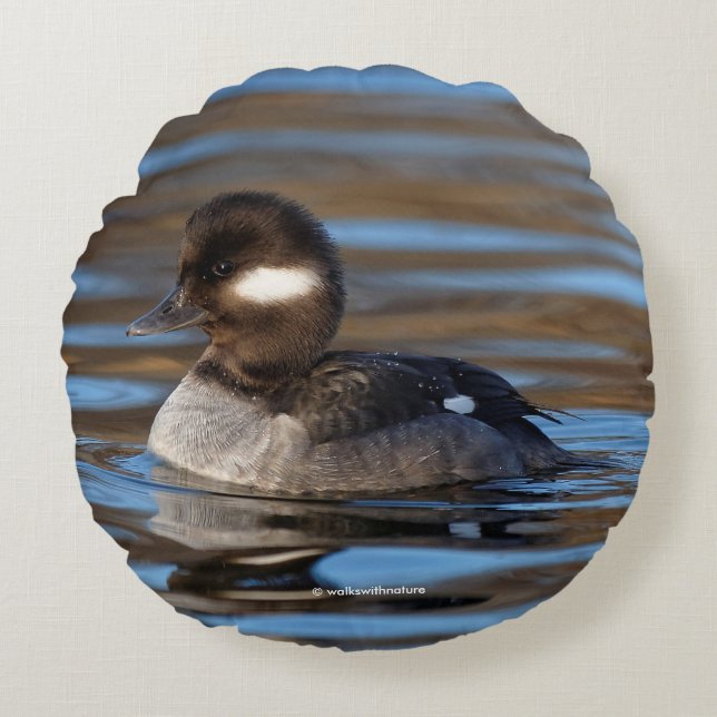 Cute Bufflehead Anka på Sunlit Vatten Rund Kudde (Framsidan)
