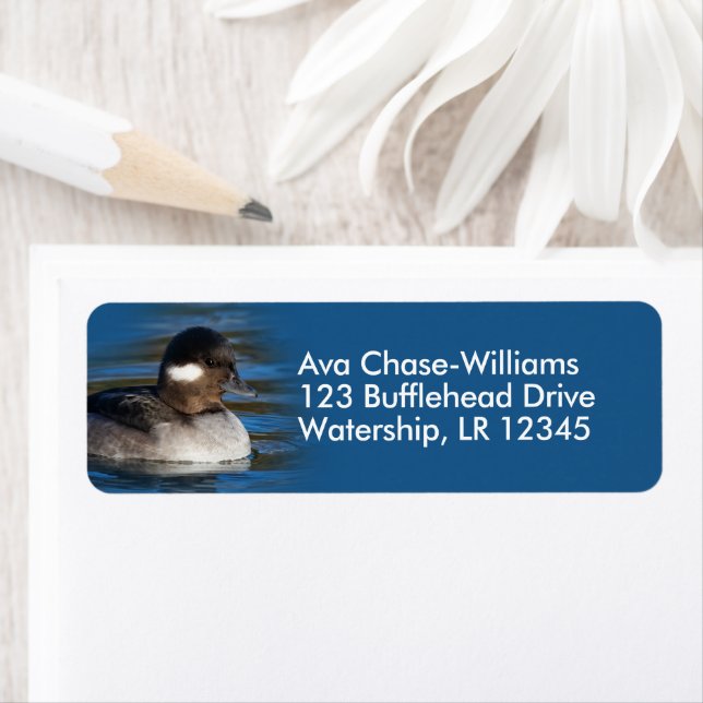 Cute Bufflehead Anka vid dammen Returadress Etikett (Insitu)