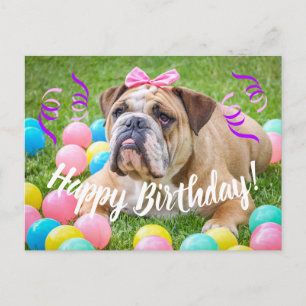 Cute Bulldog Grattis på födelsedagen Vykort