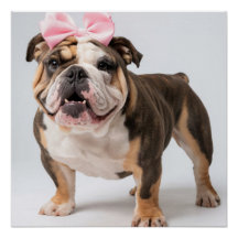 Cute Bulldog-Hund Poster väggkonst