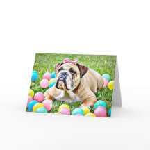 Cute Bulldog in Bow Blank Greeting Card