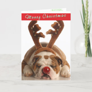 Cute Bulldog-julkort Helgkort