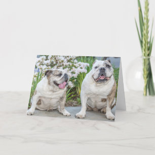 Cute Bulldog Lycklig-årsdagen Personlig Kort