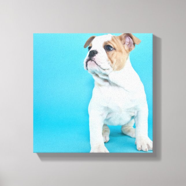 Cute Bulldog Puppy Canvastryck (Framsida)